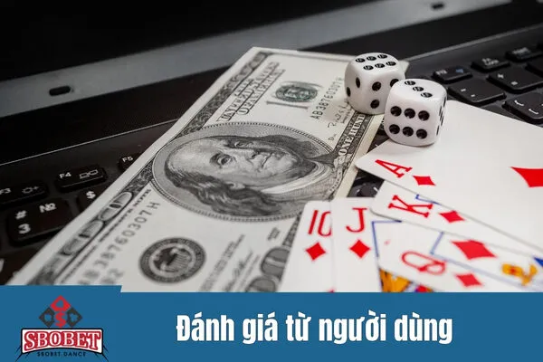Đánh giá từ người dùng